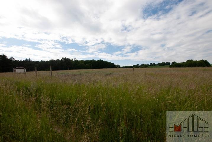 Działka budowlana na sprzedaż Wilczyn  1 000m2 Foto 7