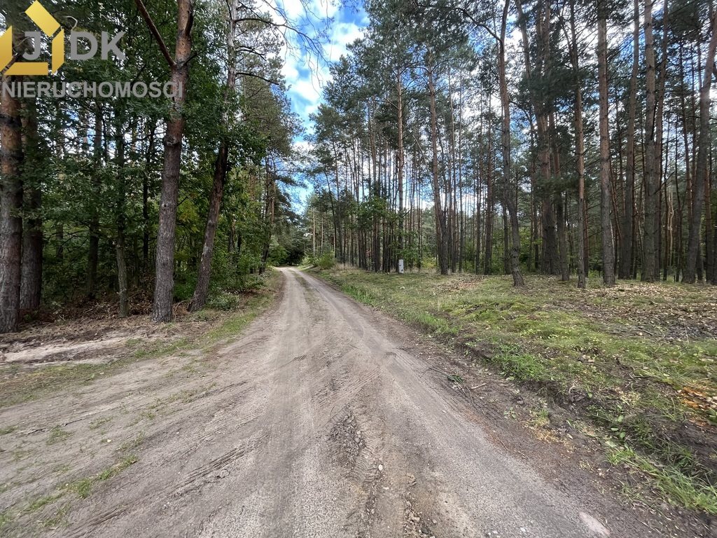 Działka budowlana na sprzedaż Nowe Mistrzewice  4 433m2 Foto 11