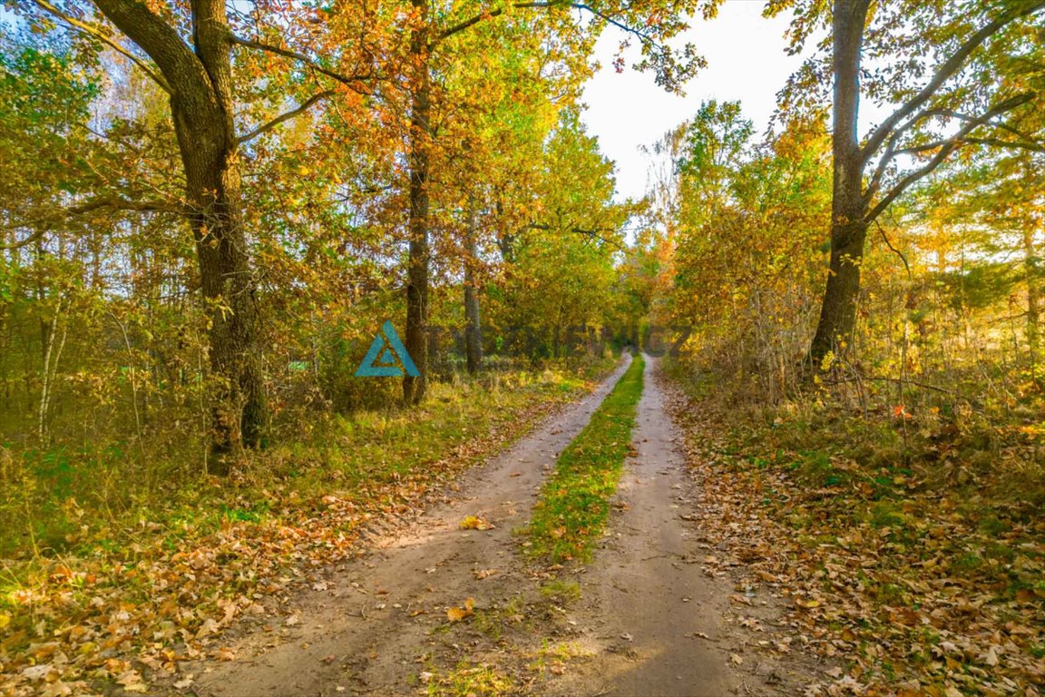 Działka budowlana na sprzedaż Krosnowo  1 579m2 Foto 5