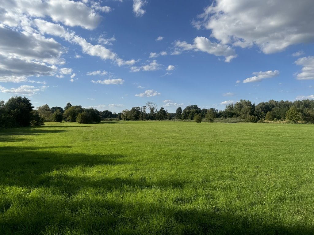 Działka rolna na sprzedaż Pabianice  20 000m2 Foto 4