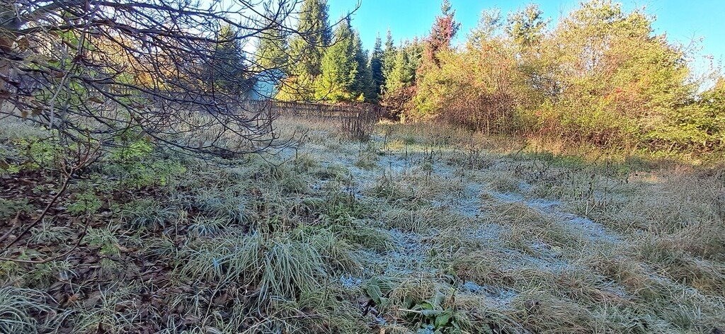 Działka budowlana na sprzedaż Cieszyn, Żniwna  972m2 Foto 5