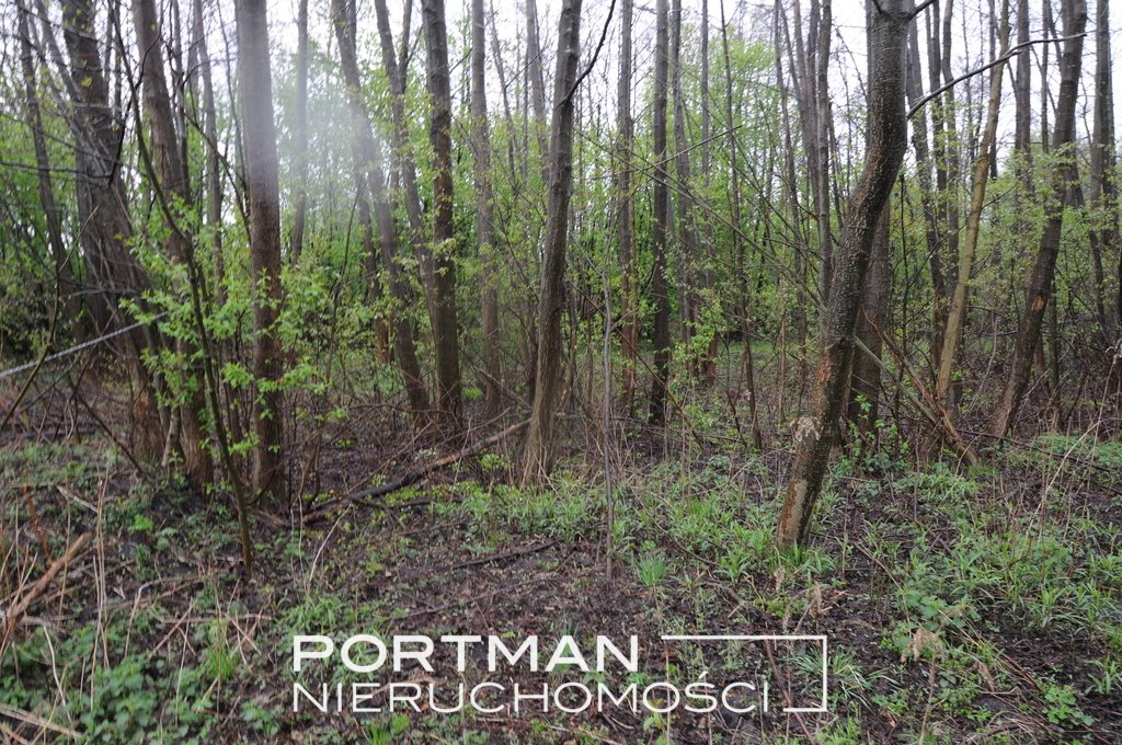 Działka budowlana na sprzedaż Lipowo  3 243m2 Foto 1