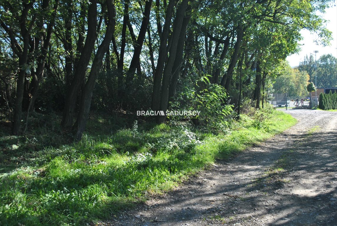 Działka budowlana na sprzedaż Gdów  9 100m2 Foto 9