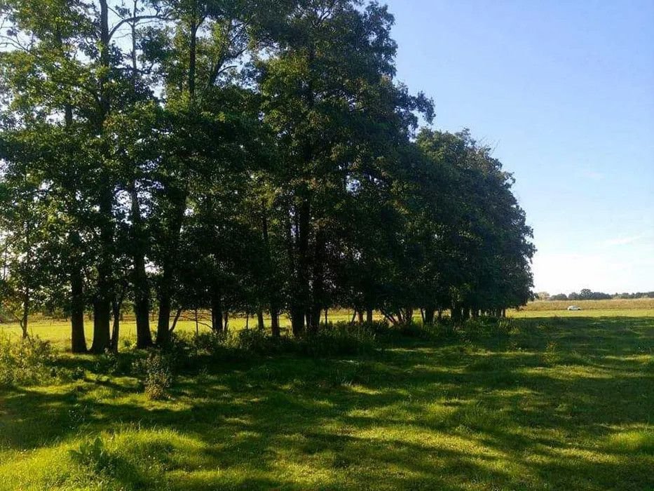 Działka siedliskowa na sprzedaż Rażny  24 000m2 Foto 3