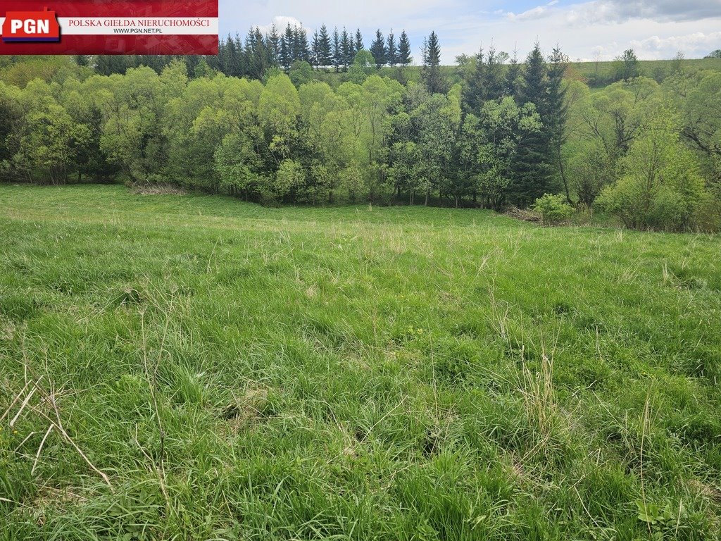 Działka budowlana na sprzedaż Łężyce  5 200m2 Foto 7