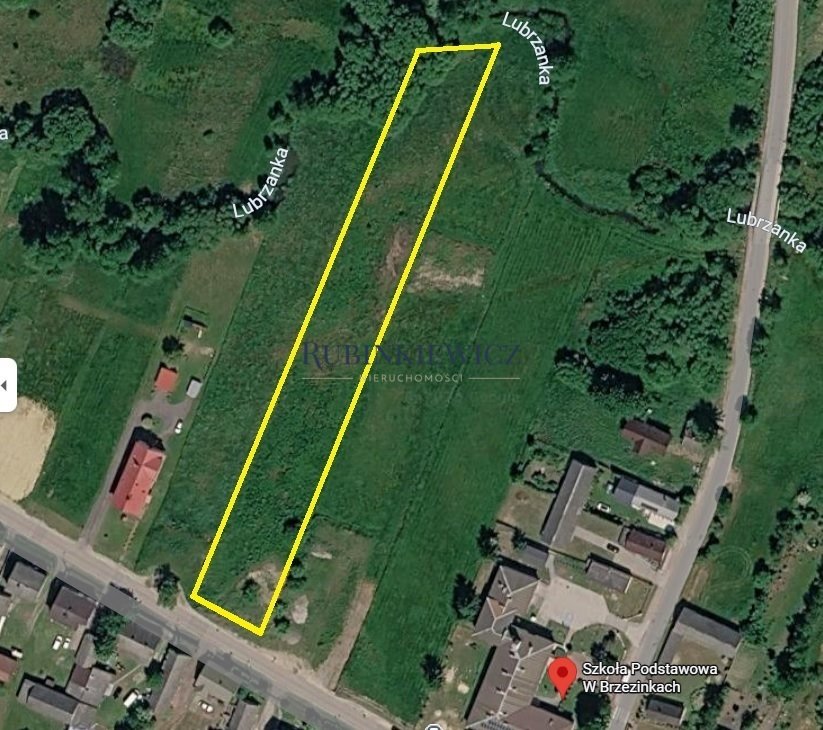 Zapraszam do zakupu działki 5 800 m² w Brzezinkach Brzezinki  5 800m2 Foto 1