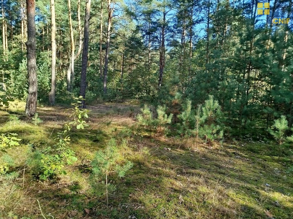 Działka budowlana na sprzedaż Rudnik Wielki  1 328m2 Foto 11