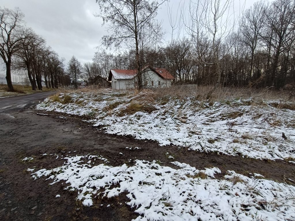 Działka budowlana na sprzedaż Zgorzelec  1 126m2 Foto 6