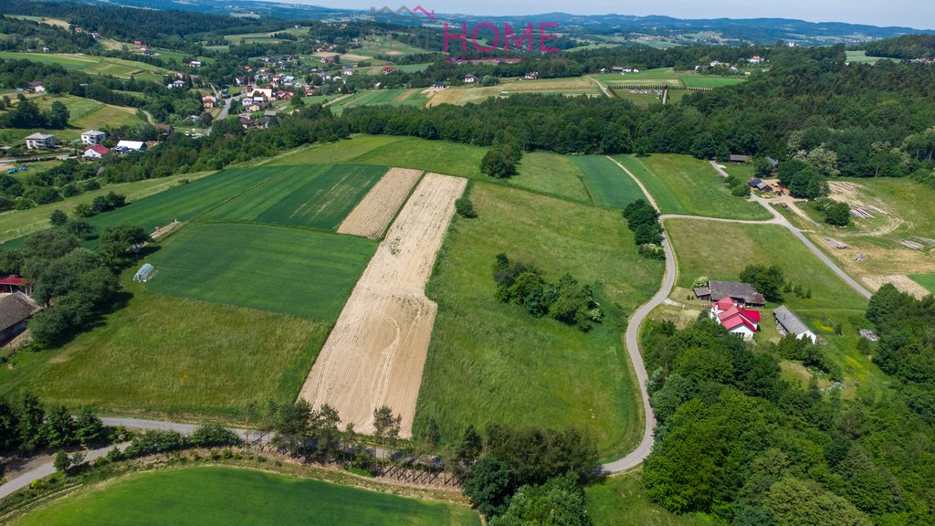Działka rolna na sprzedaż Jabłonica  9 860m2 Foto 4