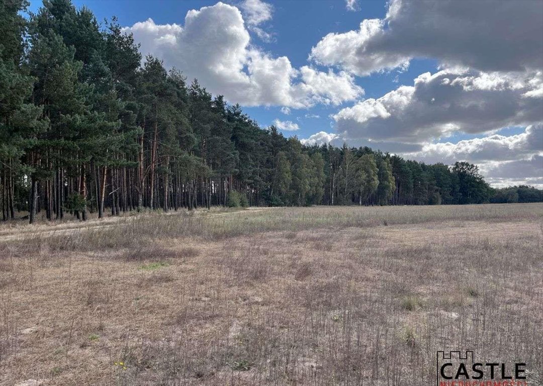 Działka budowlana na sprzedaż Trzciel  1 001m2 Foto 16