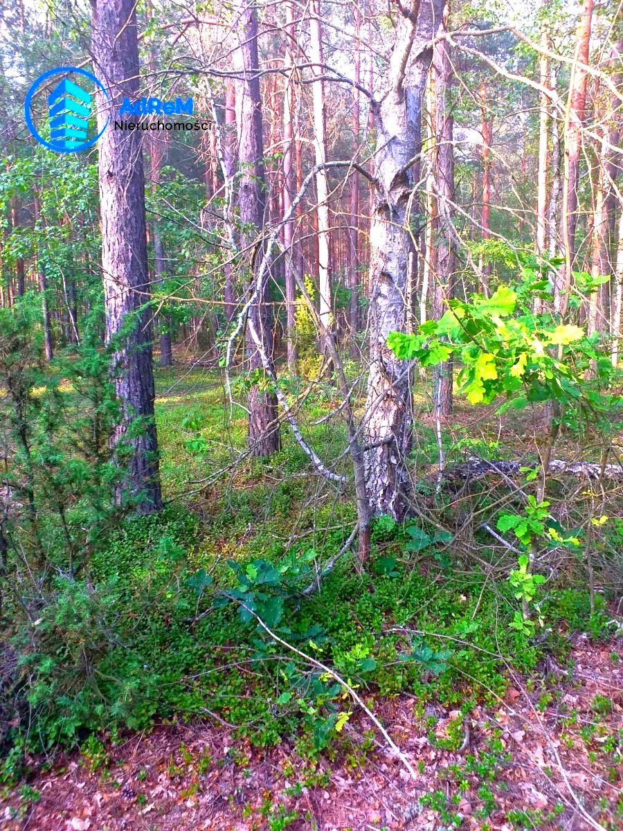 Działka leśna na sprzedaż Białystok, Starosielce  15 700m2 Foto 3