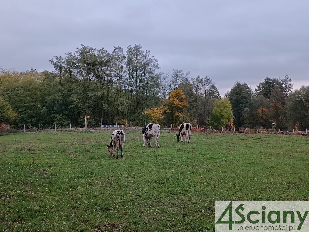 Dom na sprzedaż Radzimowice  500m2 Foto 14