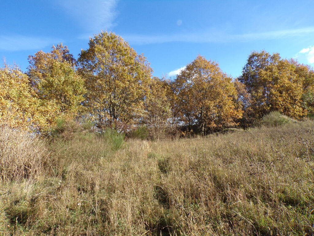 Działka budowlana na sprzedaż Wierzchocino  2 000m2 Foto 7