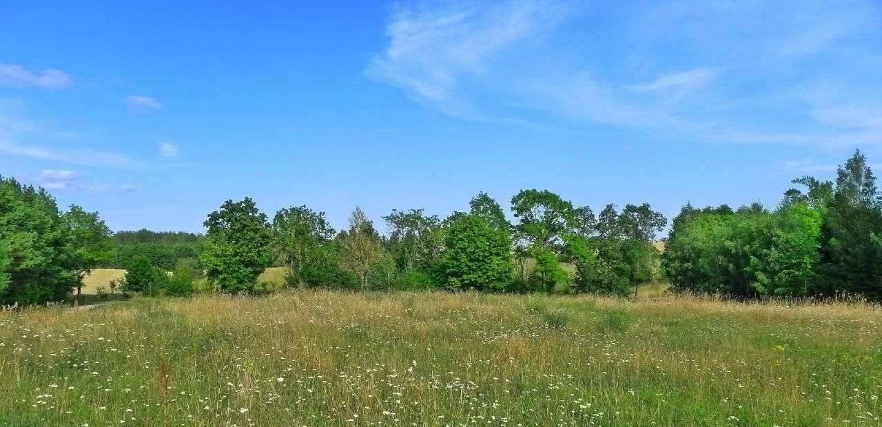 Działka rolna na sprzedaż Filipów  3 000m2 Foto 3