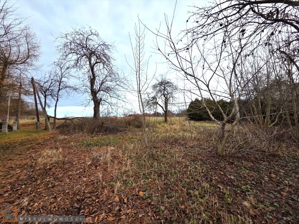 Działka pod dom z mediami, cicha okolica, 1253 m2 Cianowice  1 253m2 Foto 1