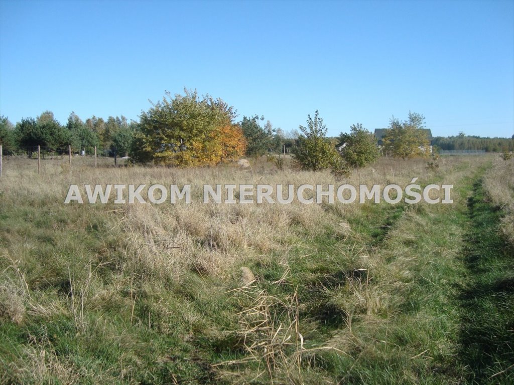 Działka budowlana na sprzedaż Żelechów  4 640m2 Foto 4