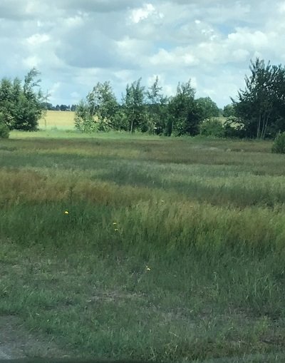 Działka budowlana na sprzedaż Szczytniki, Pośrednik  1 200m2 Foto 1