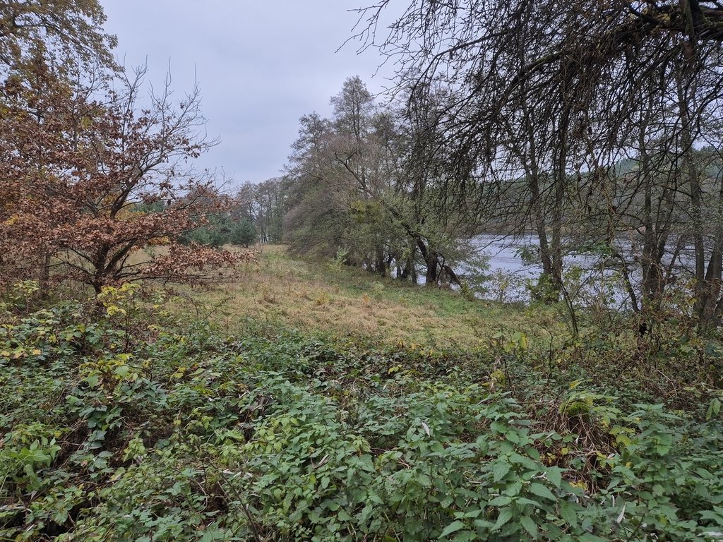 Działka budowlana na sprzedaż Chłopowo  20 400m2 Foto 4