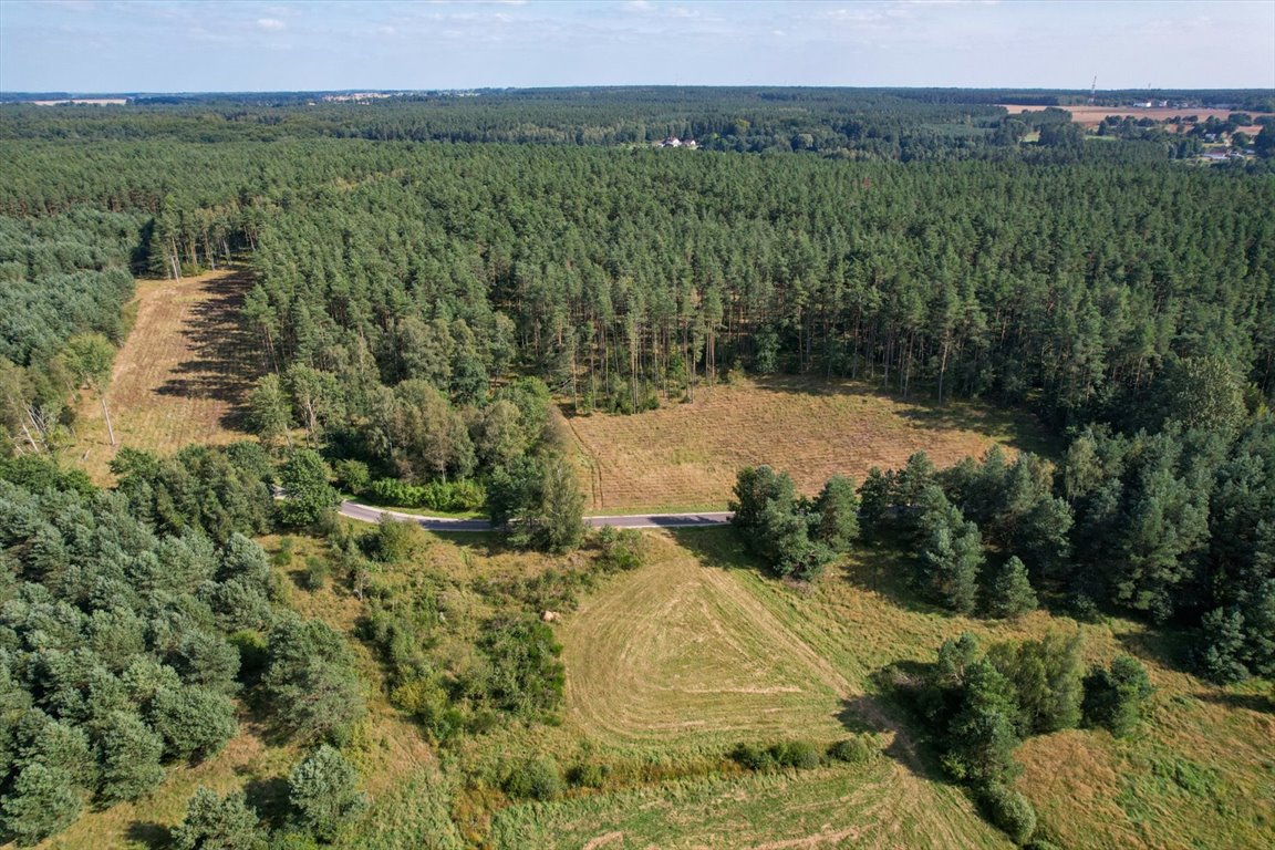 Działka budowlana na sprzedaż Lękwica  3 700m2 Foto 2