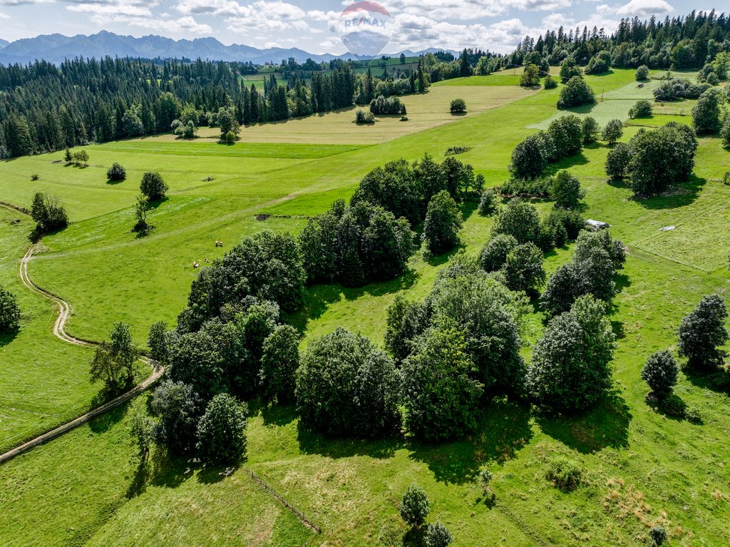 Działka rolna na sprzedaż Leśnica  2 100m2 Foto 7