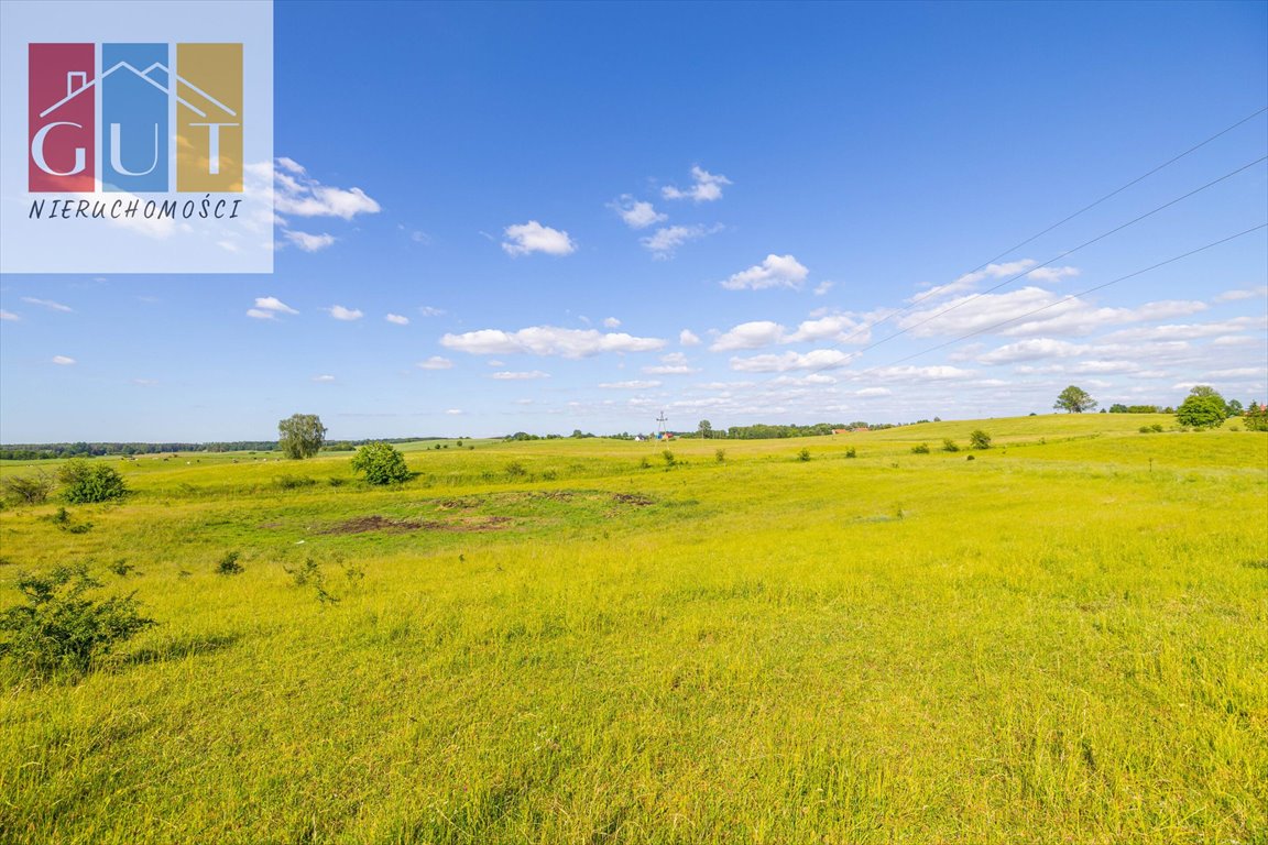 Działka rolna na sprzedaż Blanki  47 100m2 Foto 15