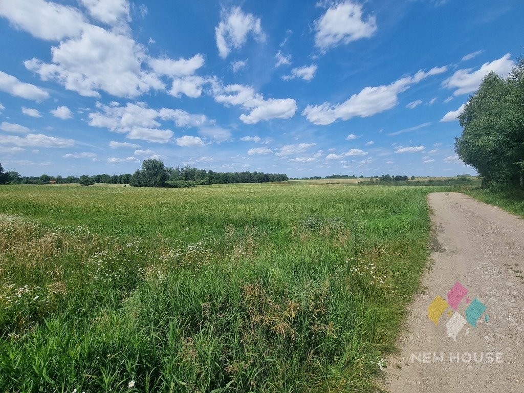 Działka budowlana na sprzedaż Pajtuny  3 193m2 Foto 3