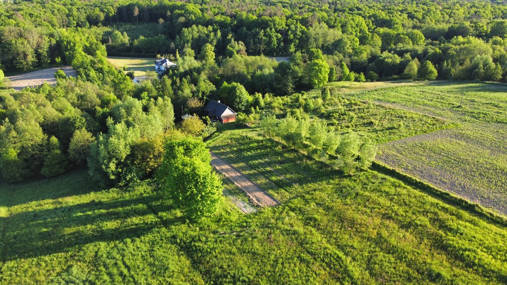 Działka budowlana na sprzedaż Hermanowa  16 000m2 Foto 5