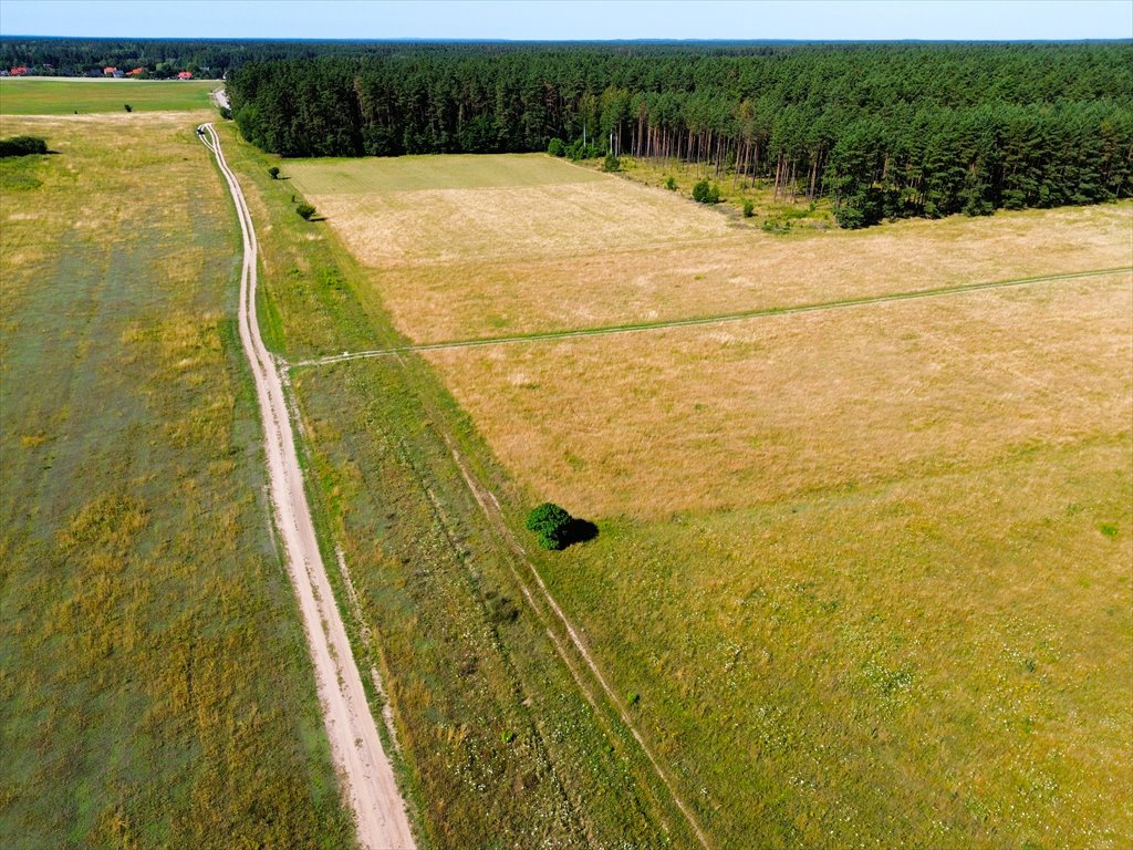 Działka budowlana na sprzedaż Szczycionek  1 707m2 Foto 4