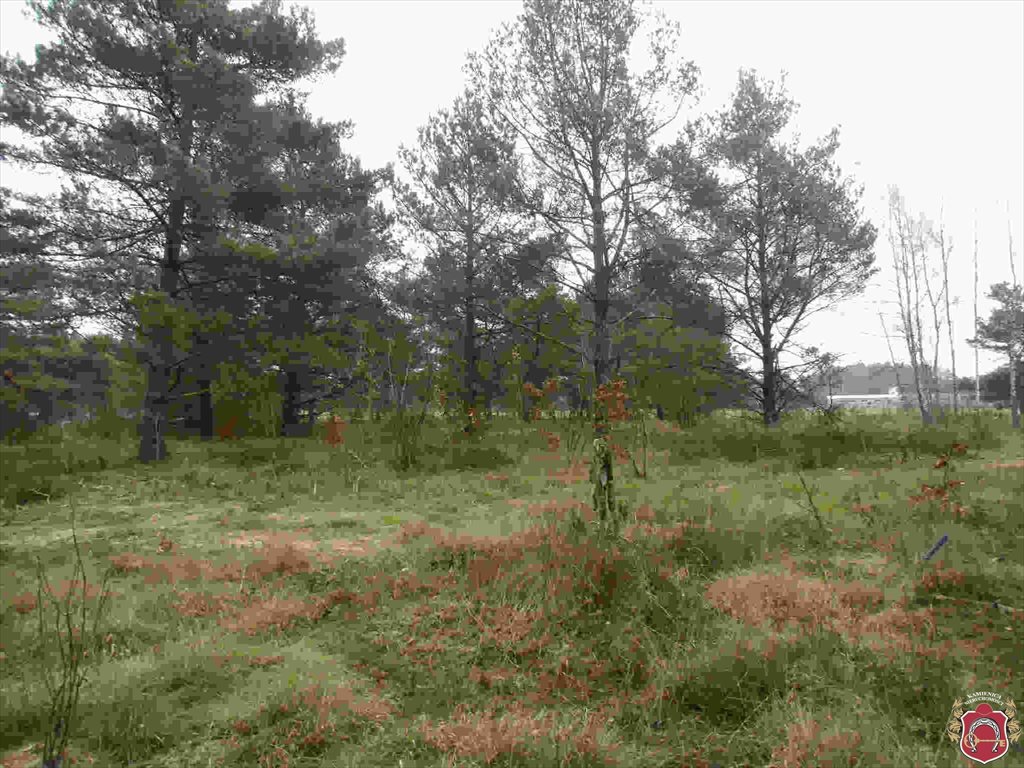 Działka budowlana na sprzedaż Kamień, Piaskowa 1 077m2 Foto 1 Działka budowlana na sprzedaż Kamień, Piaskowa 1 077m2 Foto 1