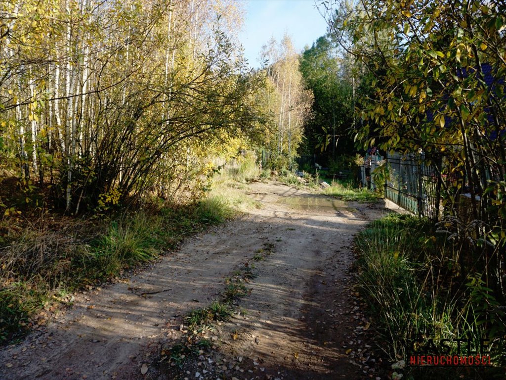 Działka pod dom w otoczeniu lasu, 2079 m2, spokojna okolica Pępowo, Łąkowa  2 079m2 Foto 1