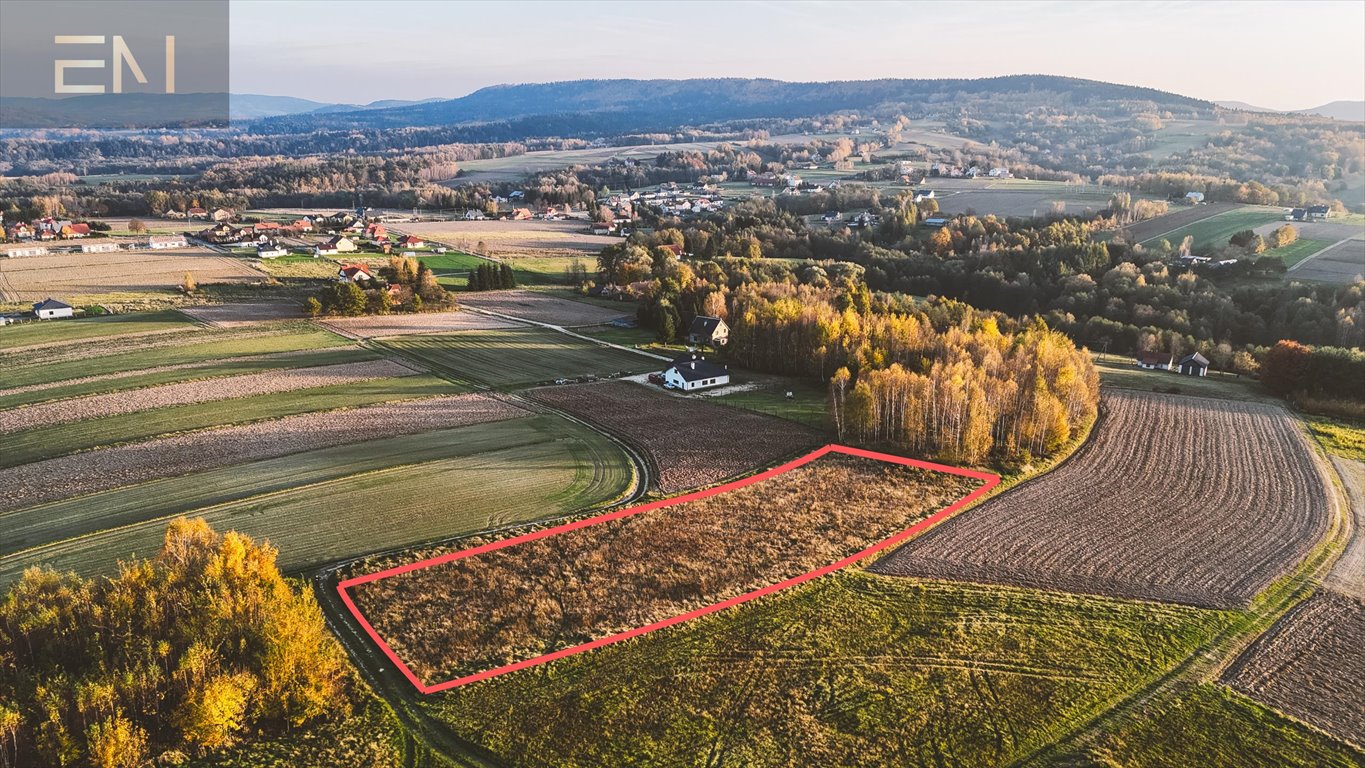 Działka budowlana na sprzedaż Gbiska  4 600m2 Foto 3