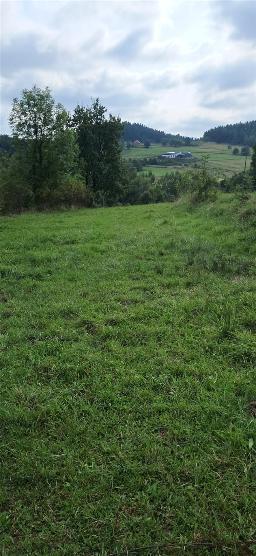 Działka inna na sprzedaż Dobra  2 305m2 Foto 4