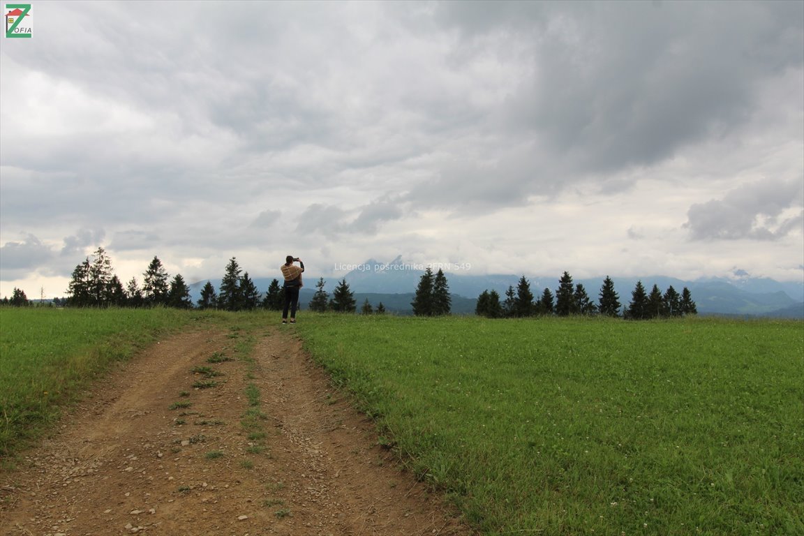 Działka rolna na sprzedaż RZEPISKA  3 500m2 Foto 1