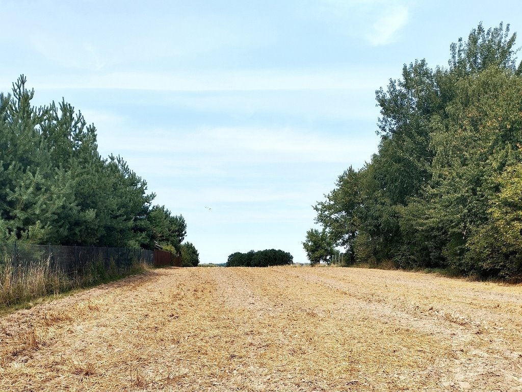 Działka 4500 m² w Dominowie z dostępem do mediów Dominów  4 500m2 Foto 1