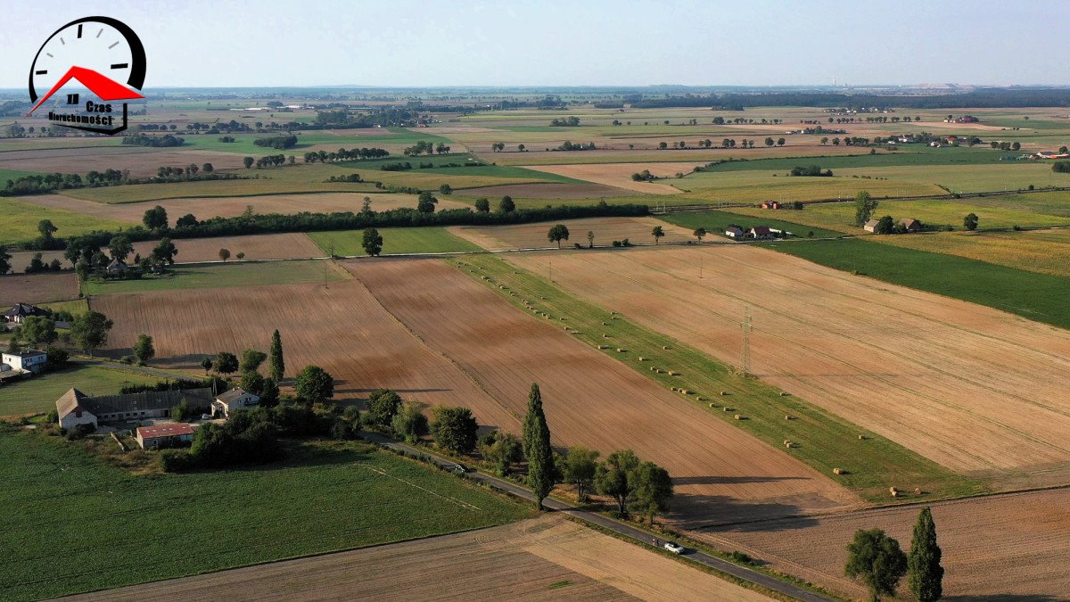 Działka gospodarstwo rolne na sprzedaż Twierdziń  3 000m2 Foto 5