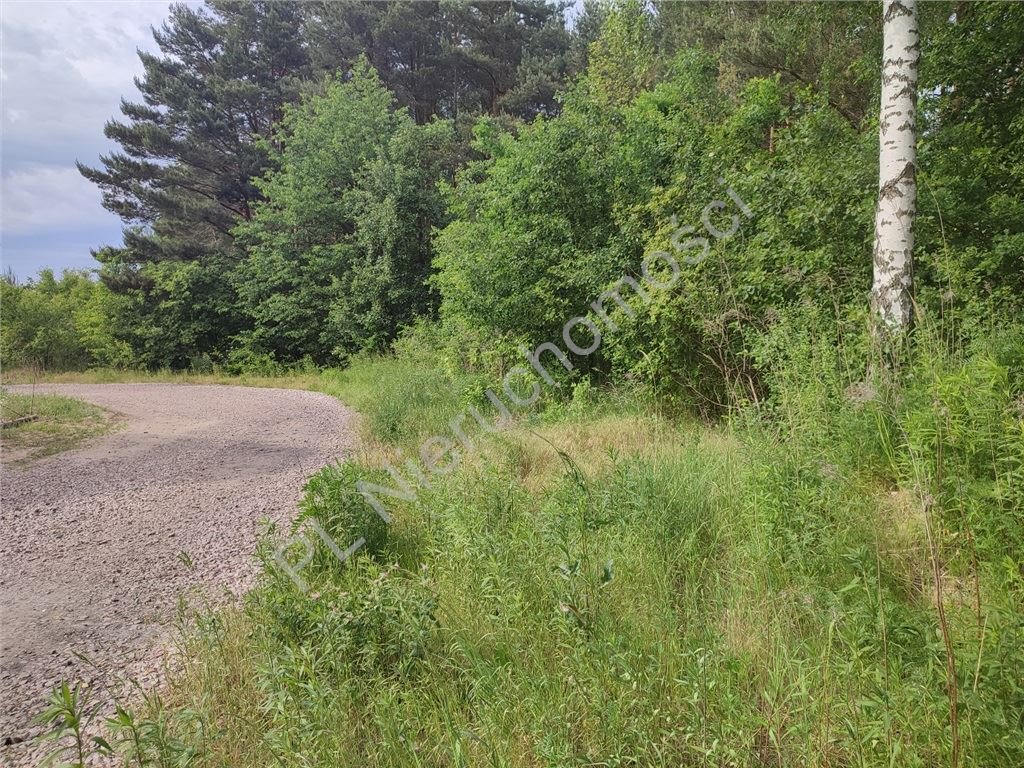 Działka 1754 m² z mediami, lasem i planem zabudowy Stara Wieś  1 754m2 Foto 1