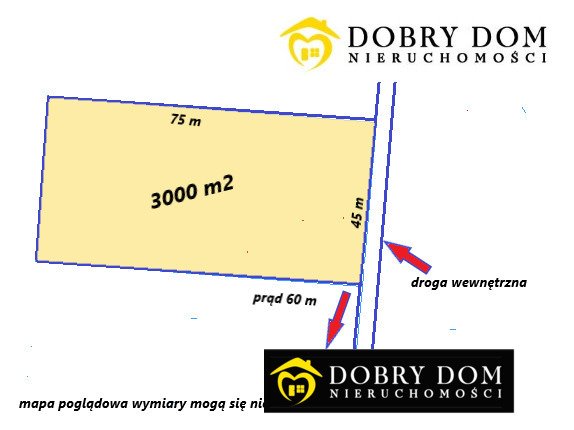 Do sprzedania działka 3000 m² z warunkami zabudowy w Kurianach Kuriany  3 000m2 Foto 1
