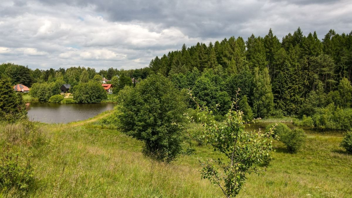 Działka budowlana na sprzedaż Gromadzin  3 143m2 Foto 5