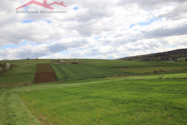 Działka rolna 37 arów z widokami, idealna dla rolnika - polecam! Kopytowa  3 700m2 Foto 1