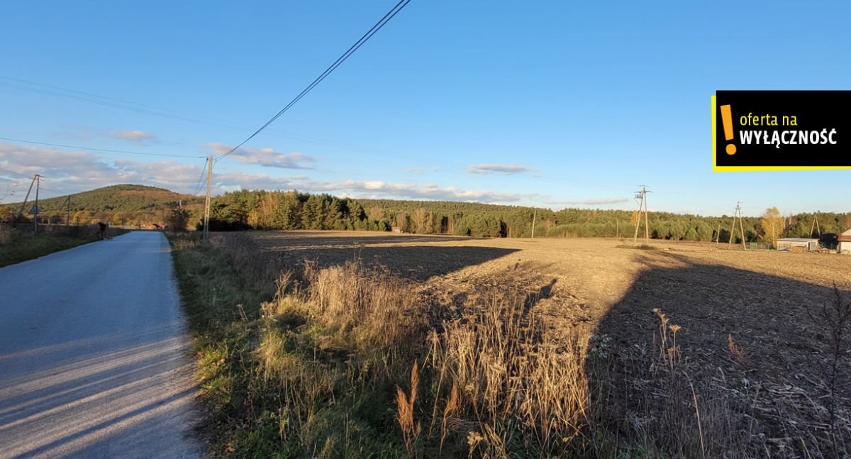 Działka budowlana na sprzedaż Bocheniec  1 682m2 Foto 7