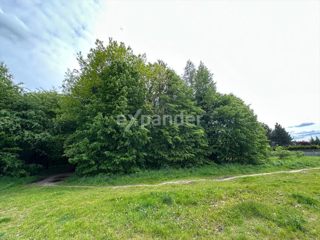 Działka pod rezydencję 10 685 m² w Wyczerpy, Częstochowa Częstochowa  10 685m2 Foto 1