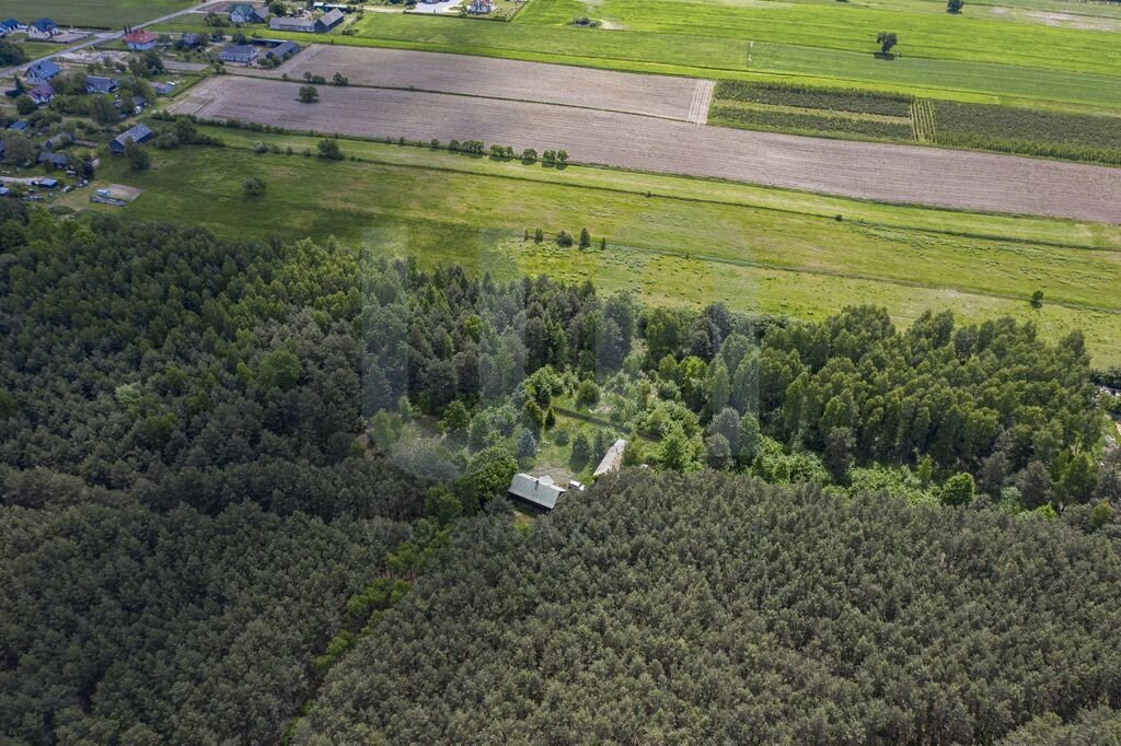 Działka budowlana na sprzedaż Wola Władysławowska  35 000m2 Foto 5