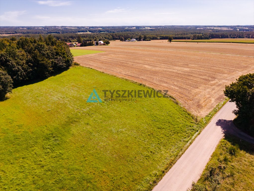 Zdjęcie 4