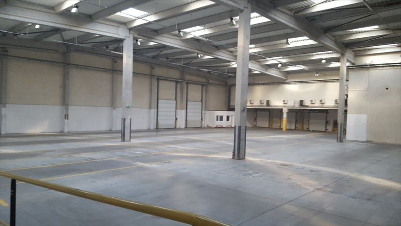 Lokal użytkowy na wynajem POZNAŃ - 1500 m2 , od zaraz. 10 m wys. Rampa 1 500m2 Foto 1 Lokal użytkowy na wynajem POZNAŃ - 1500 m2 , od zaraz. 10 m wys. Rampa 1 500m2 Foto 1