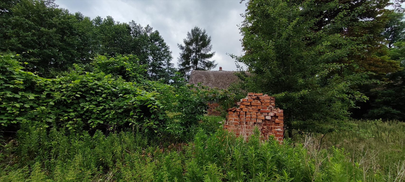 Działka siedliskowa na sprzedaż Domasławice  7 652m2 Foto 8