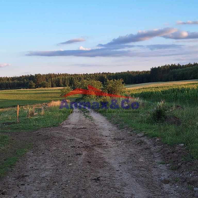 Działka budowlana na sprzedaż Strzelniki  3 900m2 Foto 5