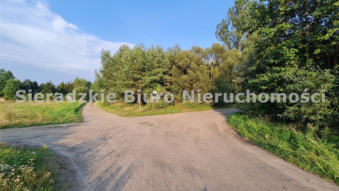Zdjęcie 8