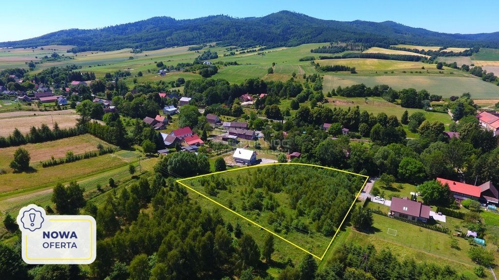 Działka budowlana na sprzedaż Laski  5 300m2 Foto 1