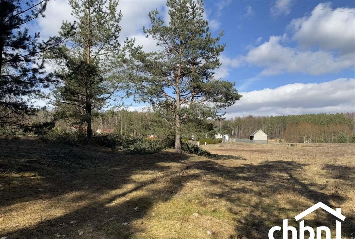 Działka 1700 m² z lasem, media, spokojna okolica Krzyż  1 700m2 Foto 1