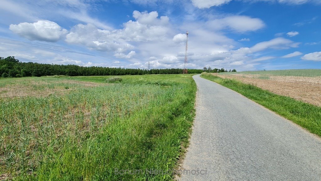 Działka inna na sprzedaż Dębowina  19 200m2 Foto 1